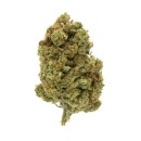 Fleurs CBD Banana Moon Indoor