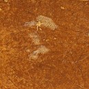 RESINE CBD - KETAMA 25% CBD